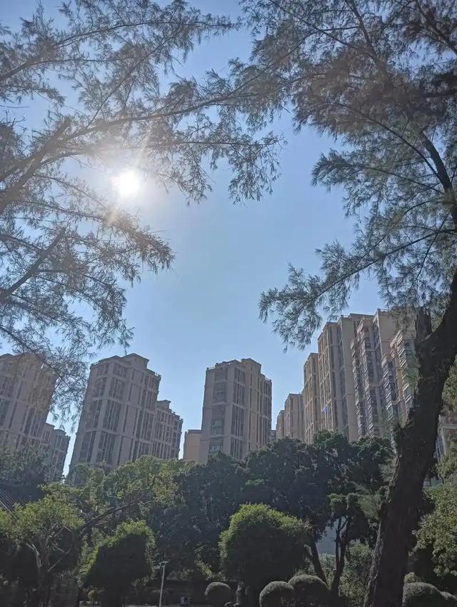 “最怕大雪一日晴”	，今日大雪，为啥怕？冬天冷不冷？早看早知道