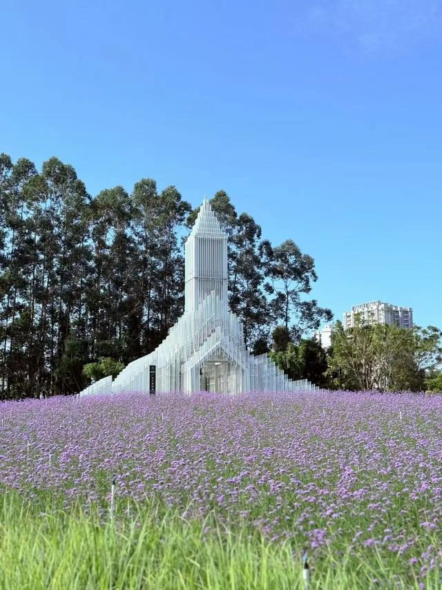 南海贤鲁岛成短途度假好去处！赏花、骑行、摘果一站式浪漫体验