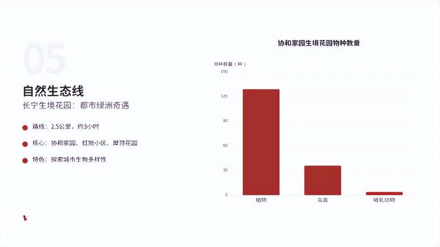 上海Citywalk终极指南：5条主题路线玩转魔都街巷