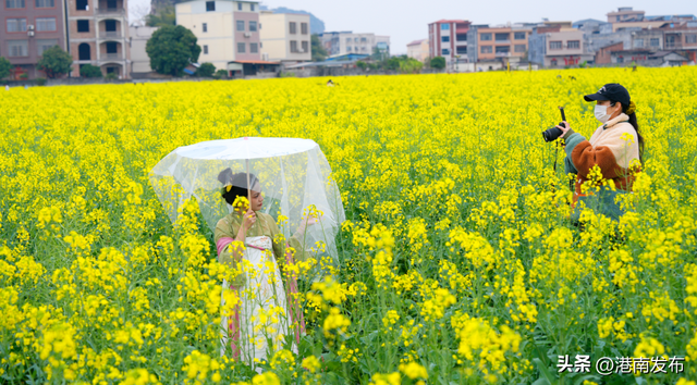 不负花期，不负春光，山边等你