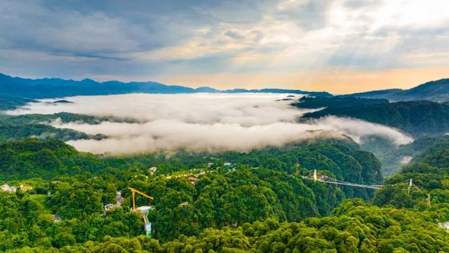 逃离高温！成都2H躲进峡谷避暑地，徒步森林瀑布、探秘野生动物！超萌奖牌周末就冲！