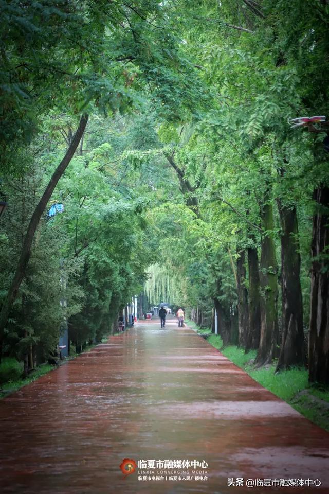 秋雨落,诗意起…邂逅临夏秋雨的美