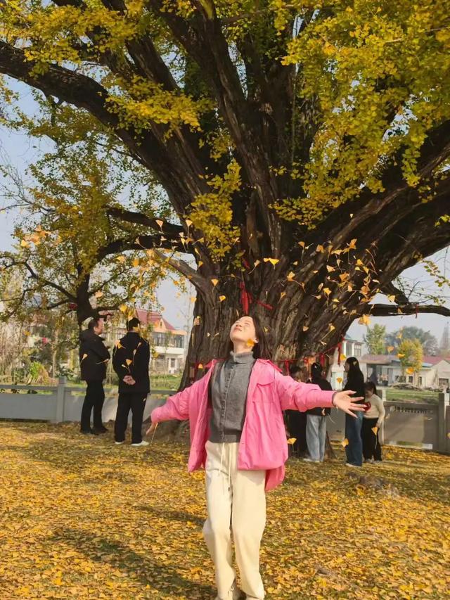 快来如皋打卡，错过就要等一年了🤩🤩🤩