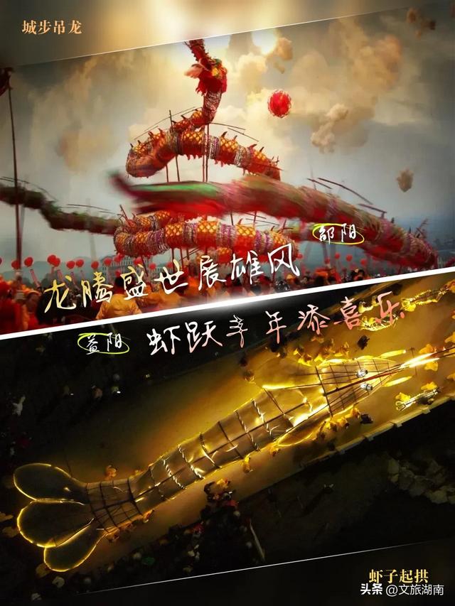 赛场外,两个“阳哥”各有乾坤