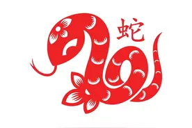你知道吗？十二生肖中蛇的象征含义！属蛇的人看过来图片