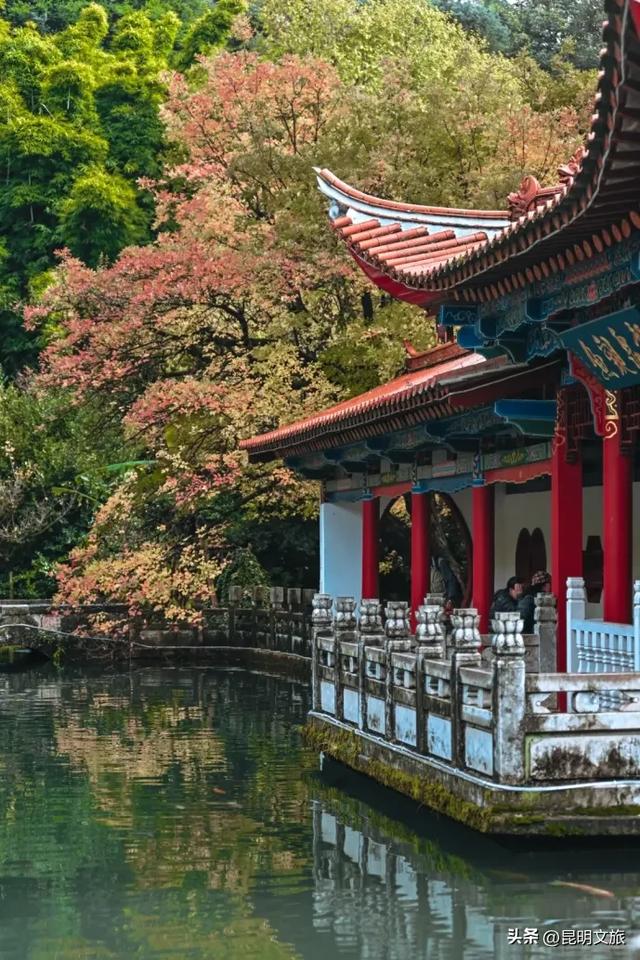 初冬氛围感出片计划，走起！昆明这份打卡攻略速速收藏→