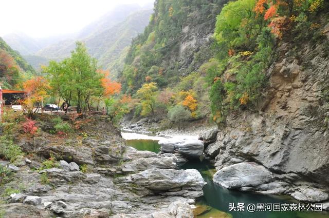 中秋快乐，云赏黑河 | 接下来的几个月，这片秘境将美成童话