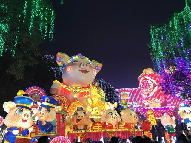 “自”强不息“贡”献力量——参观自贡灯会和恐龙博物馆有感