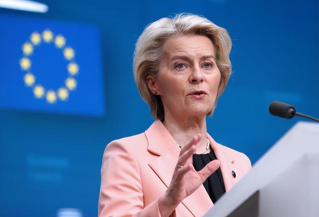 欧盟：希望中方不要将安世问题闹大，并且放宽对欧稀土出口管制