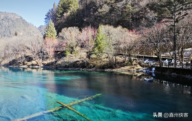 秋假扎堆出游，机票贵过国庆！