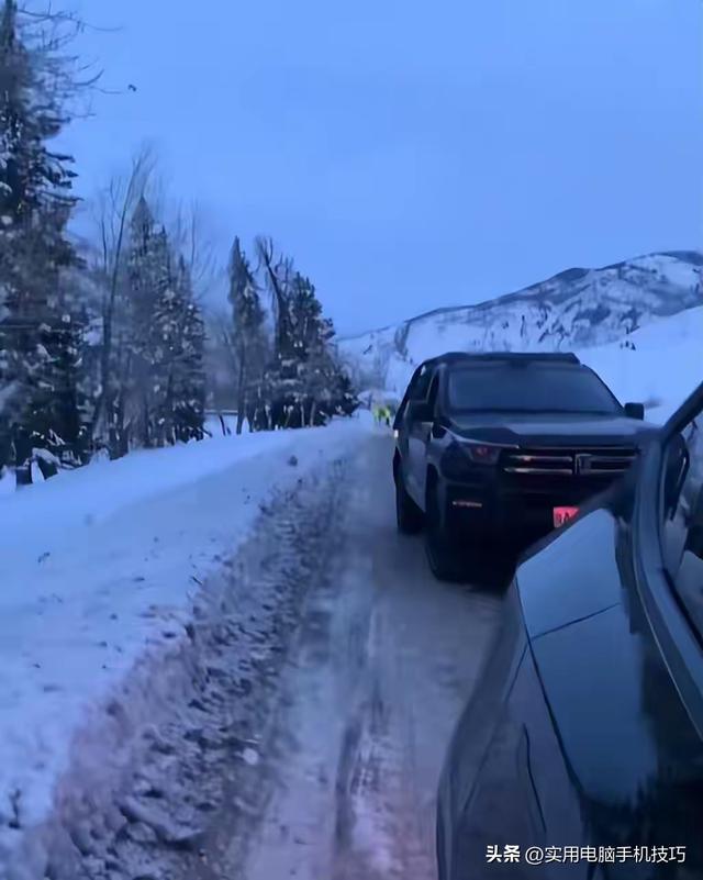 雪豹咬人内幕曝出！村支书还原真相，央视发文怒批，当事人被打脸