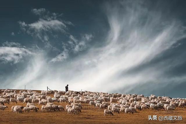 这7张图片，就是我去西藏的全部理由！