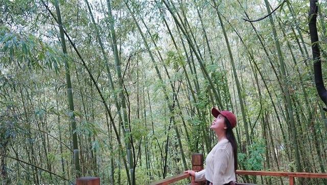 西安秦岭最美环山路一日游推荐！景美路好、看点超多，自驾超爽