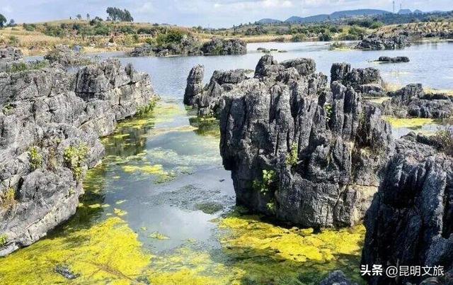 洗麻塘的石头在“冬浴”！央视点赞的石林秘境，还能这样玩