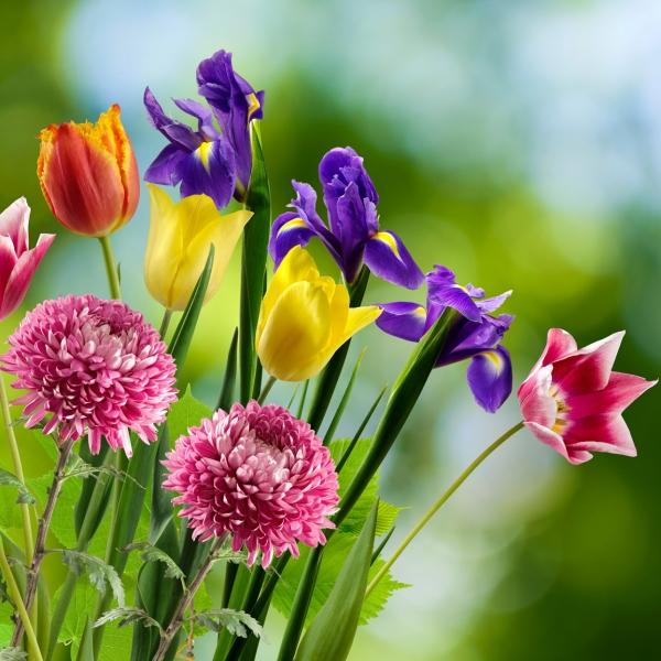 今日情感文章：如果有人心疼你的坚强	，那一定是把你爱到了骨子里