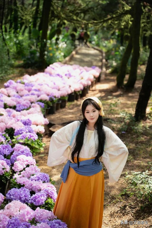来赏银杏啦！还记得那年 “杏” 花微雨，你说要来新甫山~