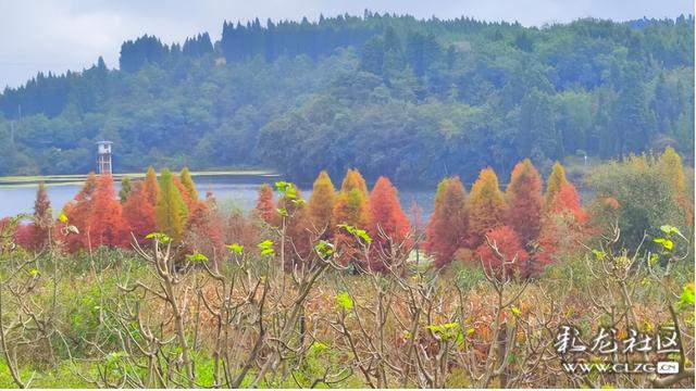 山水入画秋意来