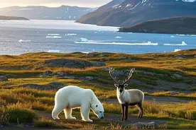 特朗普心心念念的格陵兰岛，原来风光如此无限啊！图片