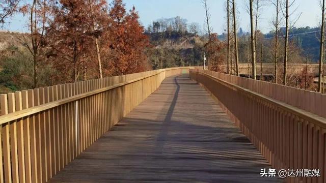 周末带娃去哪儿？达州这个公园最近火了