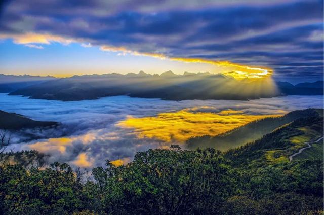 秋假福利持续至本周末！免票游雅安的快乐要一接再接！