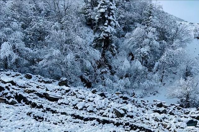 救援一次花10万，违规徒步透支资源，这个账该谁算？