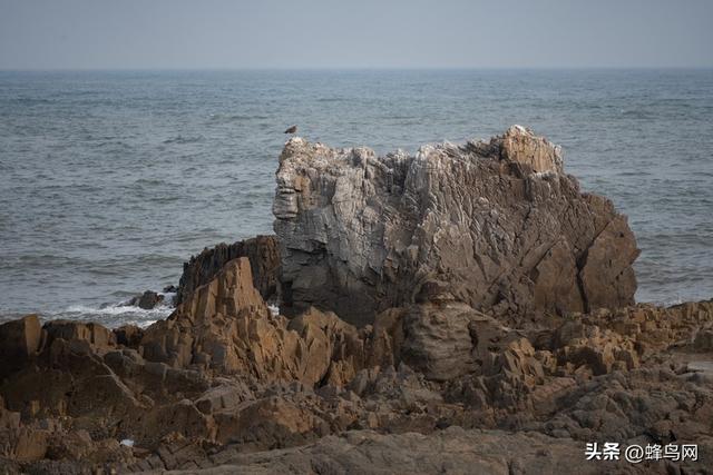20mm起步的一镜走天下镜头 适马20-200mm F3.5-6.3 DG | C评测
