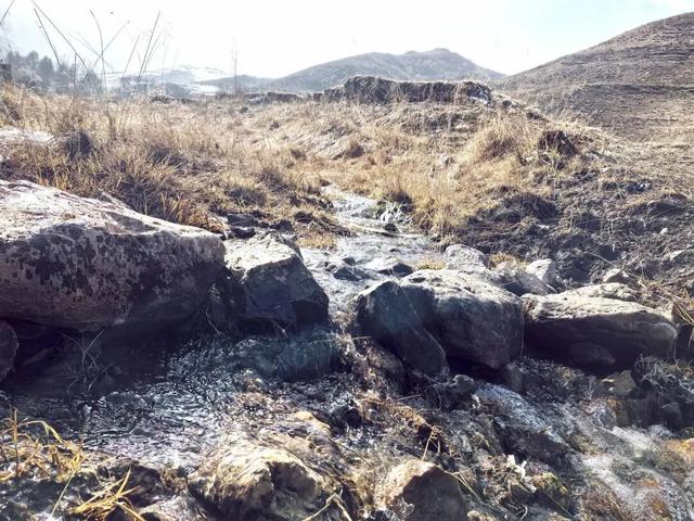 古丰初冬：雪粘褐野，甜裹寒枝