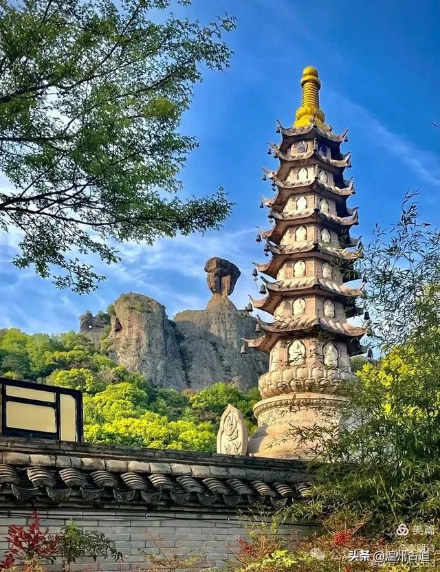 罕见的天下奇石!温岭石夫人,你可曾见过?
