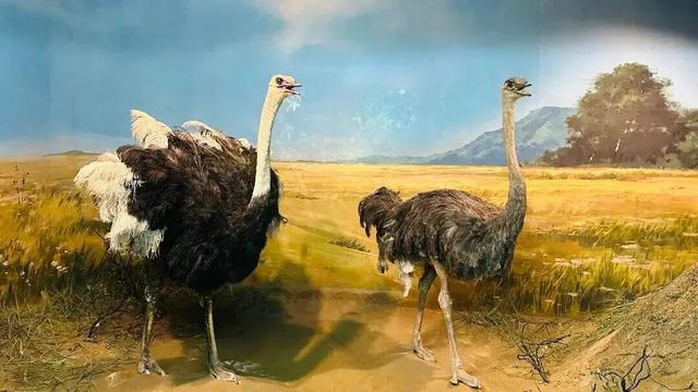 长春拟新增2家4A级景区