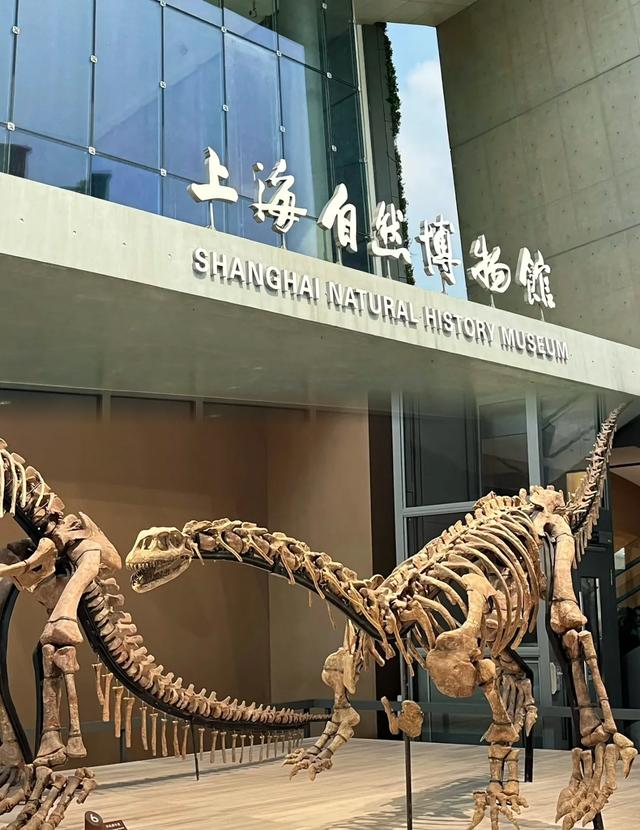 上海5个遛娃的好地方，周末必须带孩子去玩一次，赶紧收藏！
