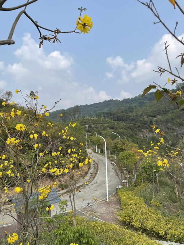 八达岭同款“小长城”，就藏在这座山林中，是一处徒步的绝佳之地