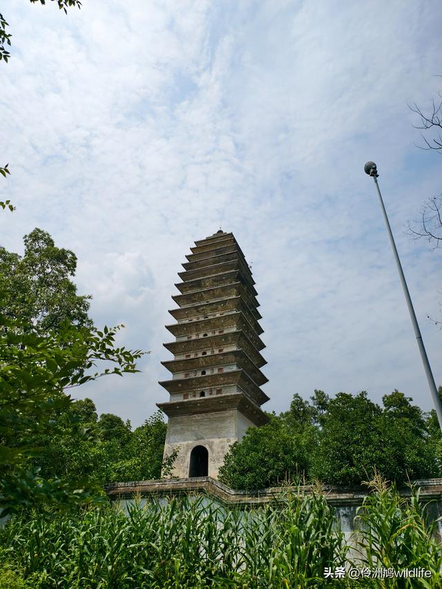 成都徒步（68）·彭州篇⑮佛山古寺&镇国寺宝塔