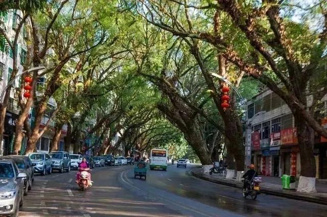 五指山人晚上都在做什么→