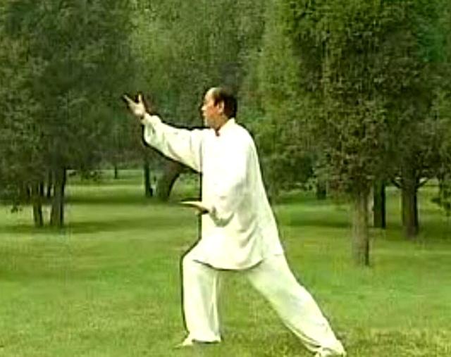 学太极拳此套路，一通百通，融会贯通