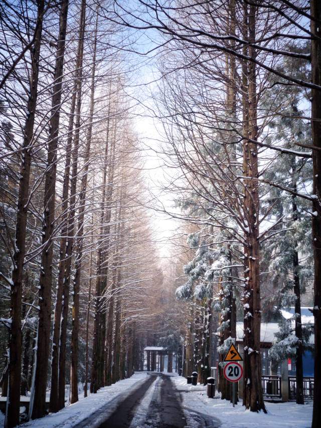 又来？这样的随州，你见没见过？
