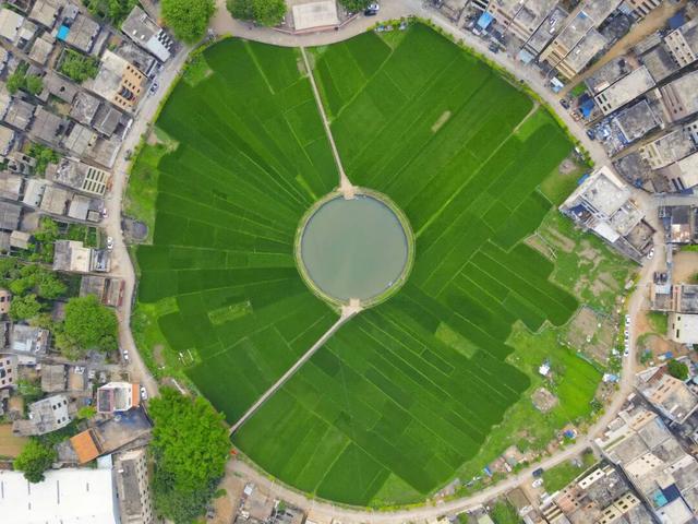藏在海口秀英的太极村，400年历史古村落，一年四季有不同的美