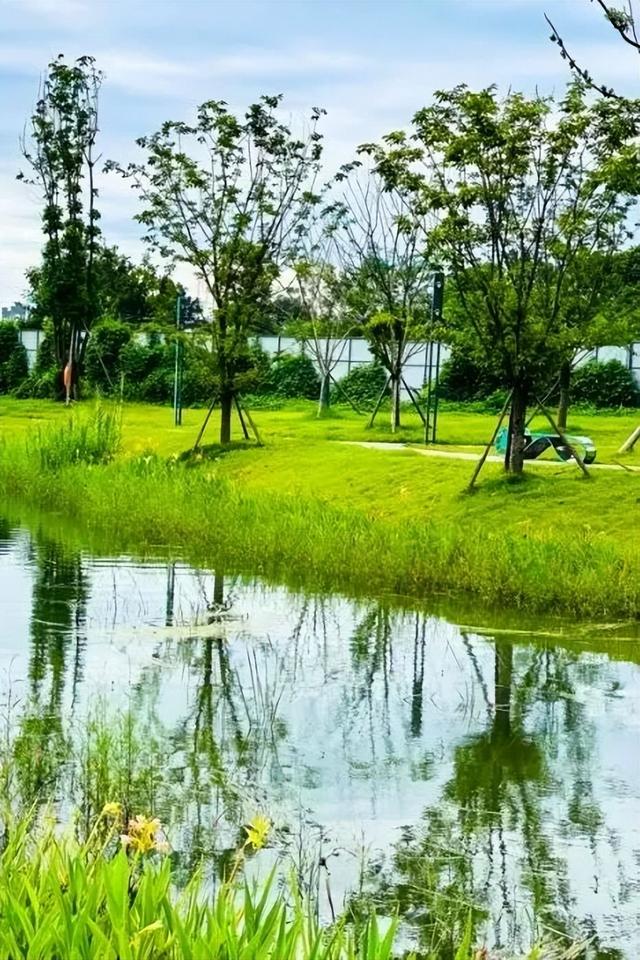 秋假遛娃指南！郫都这些宝藏公园，承包亲子惬意时光