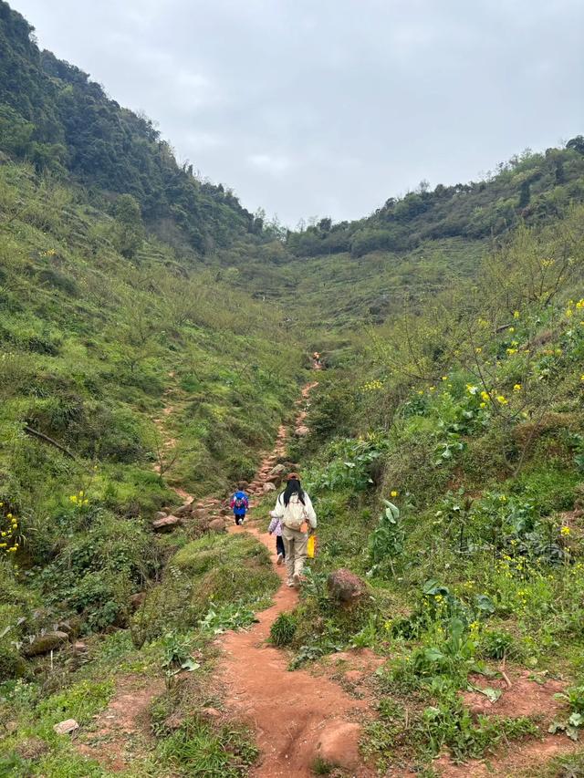 3刷这条野趣十足的徒步路线，成都1.5h可达，冷门清幽！