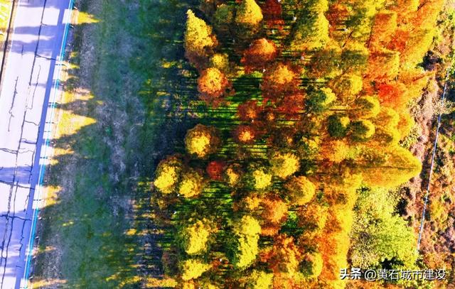 拍照绝美!就在黄石这里 快去打卡吧!