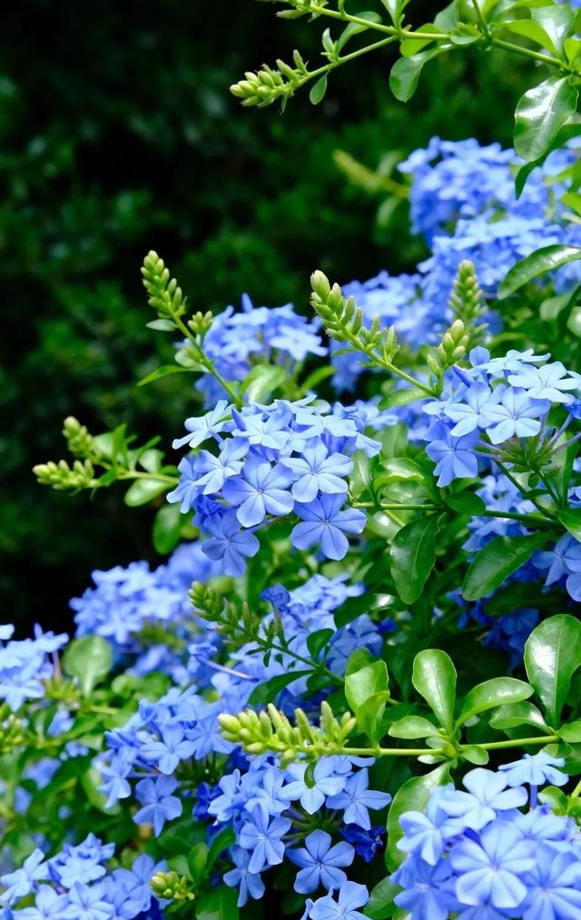 #治愈系风景 #清新美景