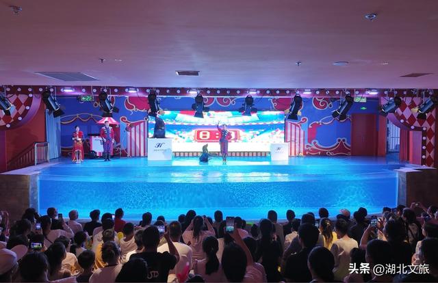 知音湖北，发现美好！网络大V将“遇见襄阳好风日”