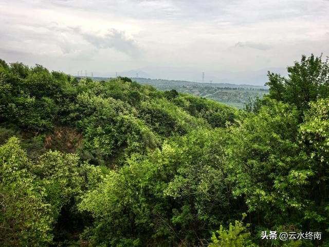 咱亲亲的蓝田人，低五尺村是比哪低五尺？鹿原、横岭，还是钟楼？