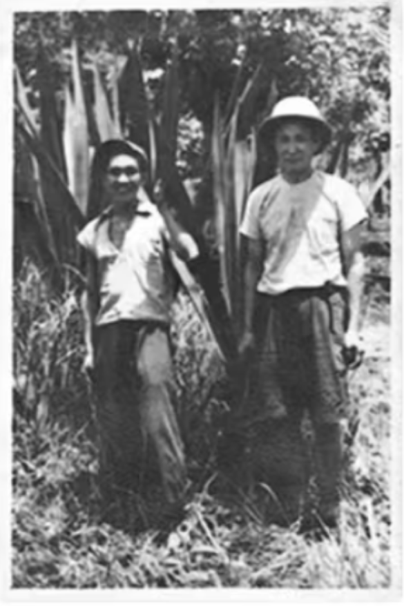 在海南，喝咖啡也是一种仪式感