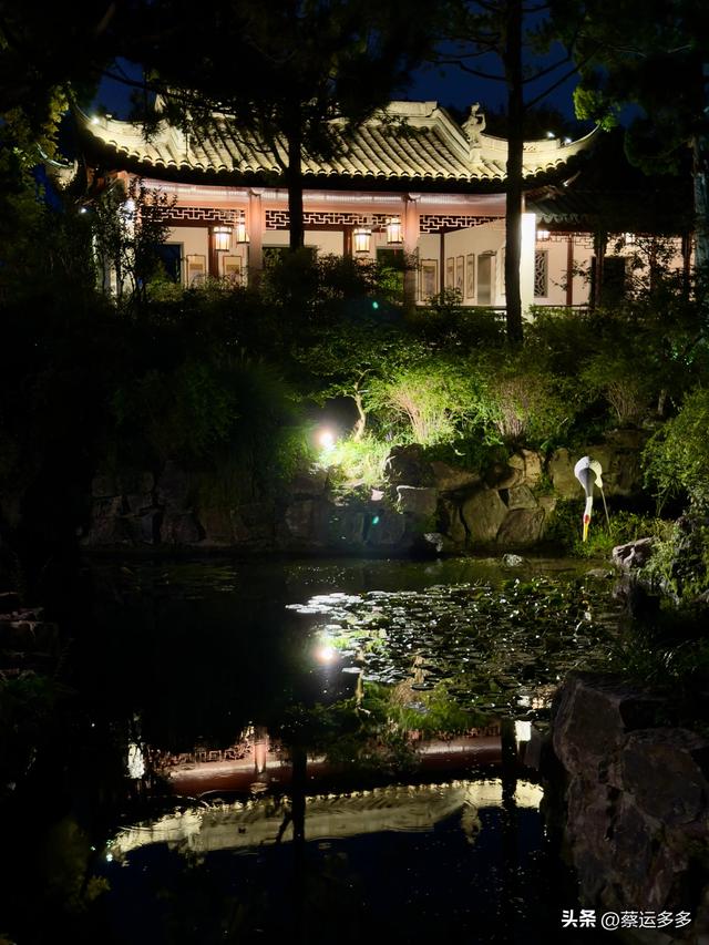 夜游上海古猗园，夜景璀璨迷人