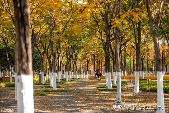 （要去快收藏起来）西安秋季值得去的地方 最佳时间和路线！