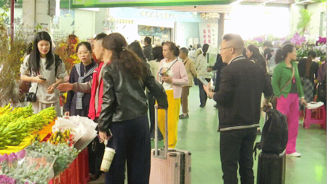 这才是重阳节该有的样子！爬西山、买花、吃重阳糕…昆明人的过节“三件套”齐了~
