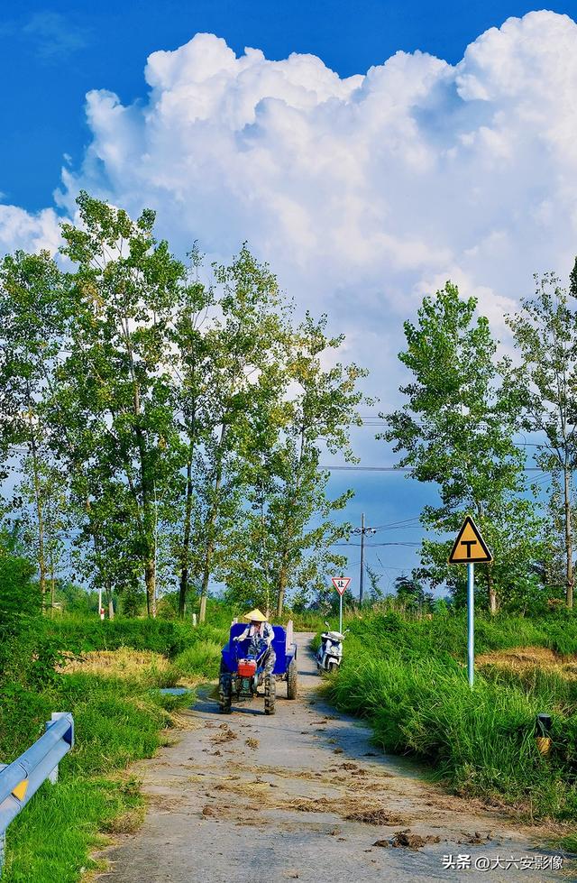 六安：丹桂飘香瓜果甜 山水美景等你来