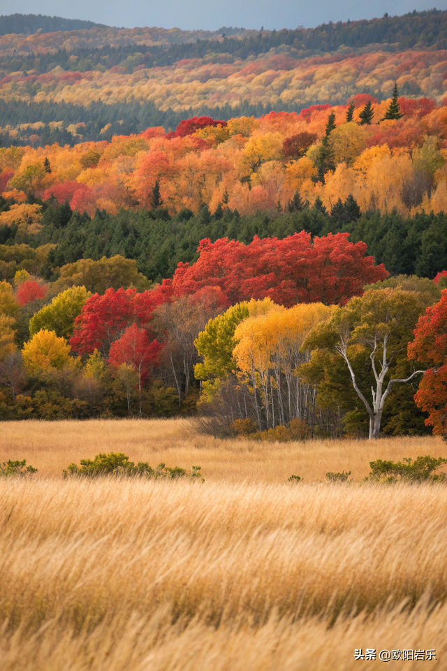 这才叫风景如画，太美了！
