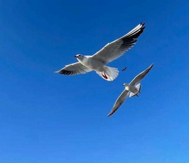 昆明：走遍天下的金字招牌