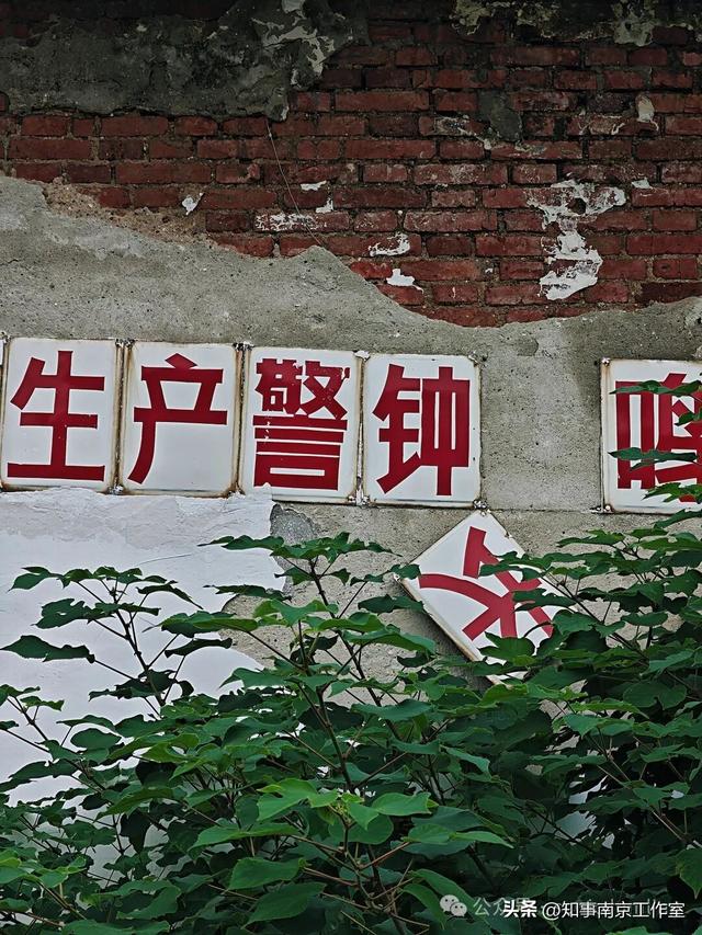「转载」隐匿在南京老山的生化残城
